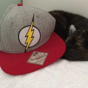 ⚡️THE FLASH Adjustable SnapBack hat NWOT⚡️